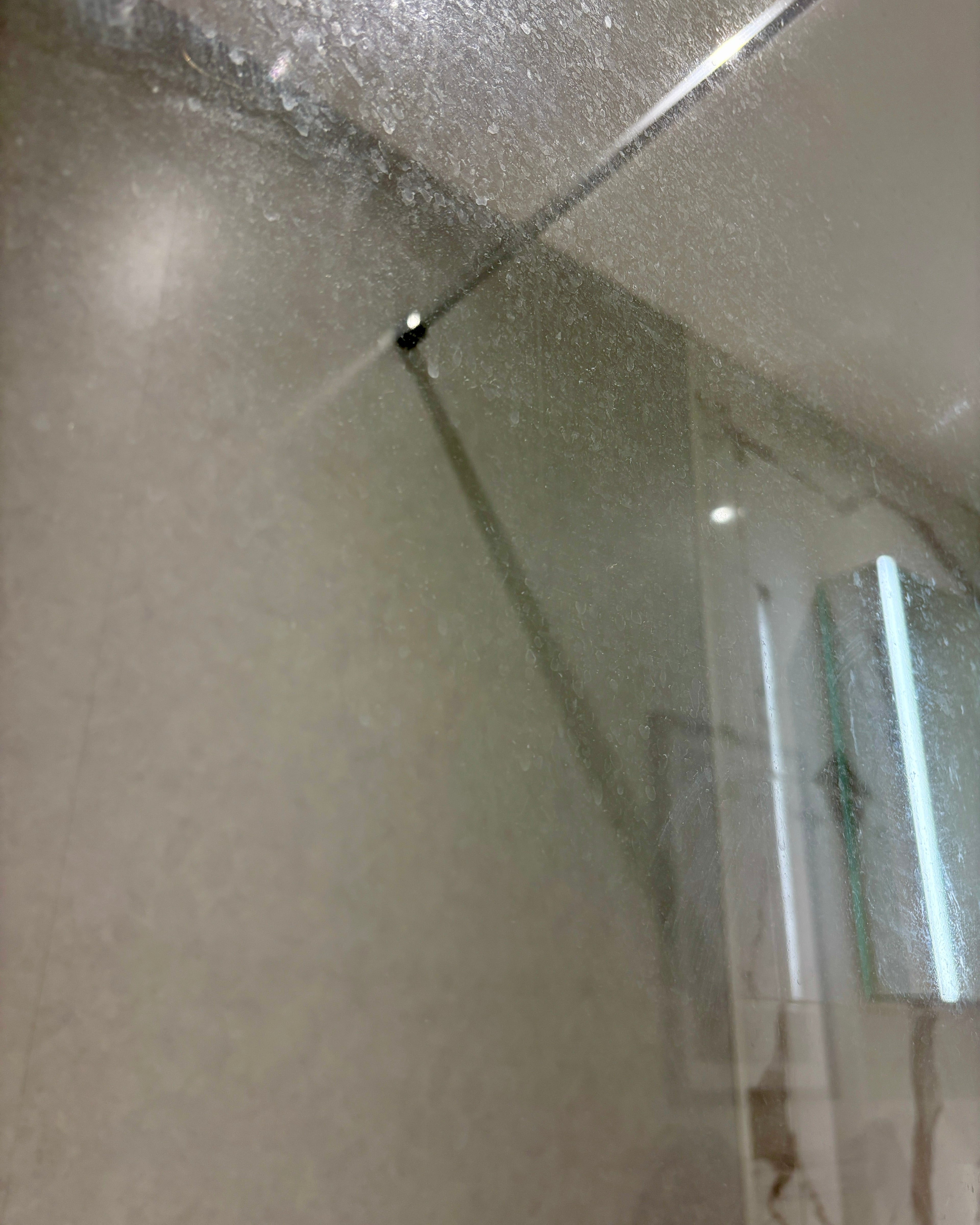 Shower Glass Reset